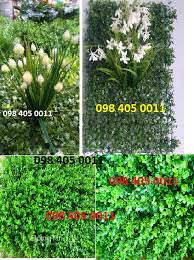 co tai chuot co cai xoong 40cm x 60cm gia re 098 405 0011