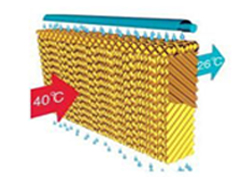 mang nha kinh nha kinh phoi nong san nha kinh phoi ca phe