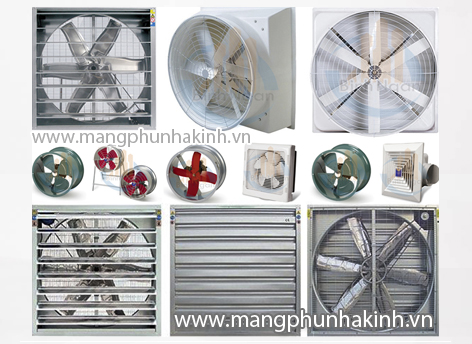 mang nha kinh nha kinh phoi nong san nha kinh phoi ca phe