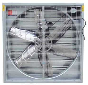 cong ty ban luoi chan con trungdai ly luoi chan con trung