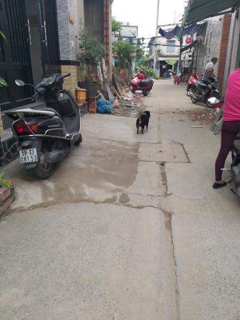 chinh chu ban nha khu vuc binh trieu pvd gia cuc re1 tret 2 lauu2pn2wchem 3 banhhh 2