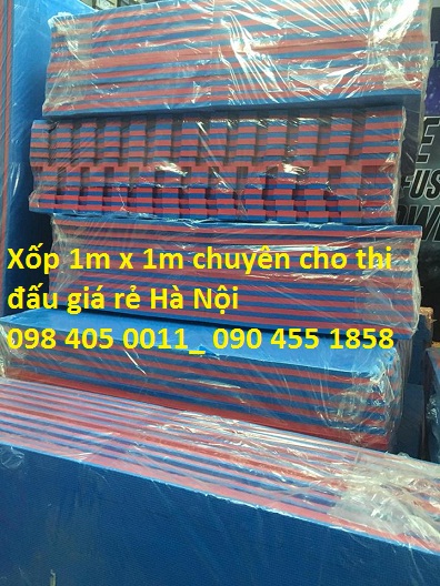 tam xop phong gym thi dau dan hoi cao ma sat tot 098 405 0011