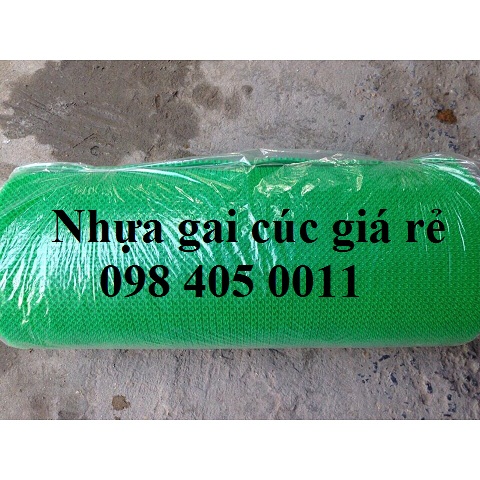 tam nhua gai cuc mau xanh la cay gia re ha noi 098 405 0011