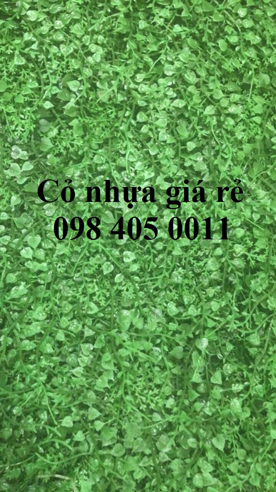 nhua trang tri tai chuot cai xoong mat trau gia re 098 405 0011