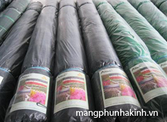 luoi che nang thai lan luoi cat nang thai lan luoi che nang san thuong cach cang luoi che nang