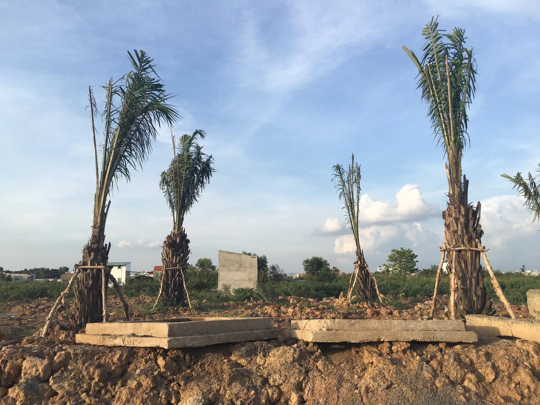 ban dat du an e city tan duc 150m2 gia 17 ty 6x20m mt duong 824 duc hoa long an