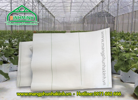 co so ban mang nilong na kinh tai thanh hoa cau truc mang nilong nha kinh cau truc nha kinh trong ra