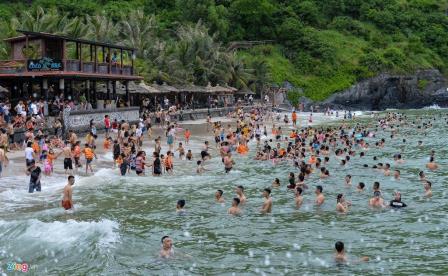 lua chon mua flamingo cat ba ngay thang 3 naydu an 5 duy nhat chuan bi dua vao hoat dong loi nhuan 1