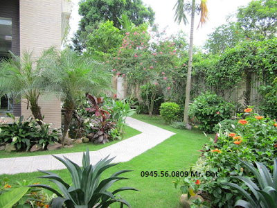 thiet ke thi cong san vuon dep canh quan ngoai that thien nhien