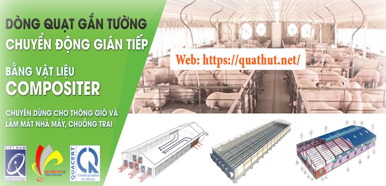 quat-thong-gio-vuong-quathut.net