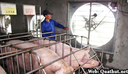 quat thong gio vuong 600 inox