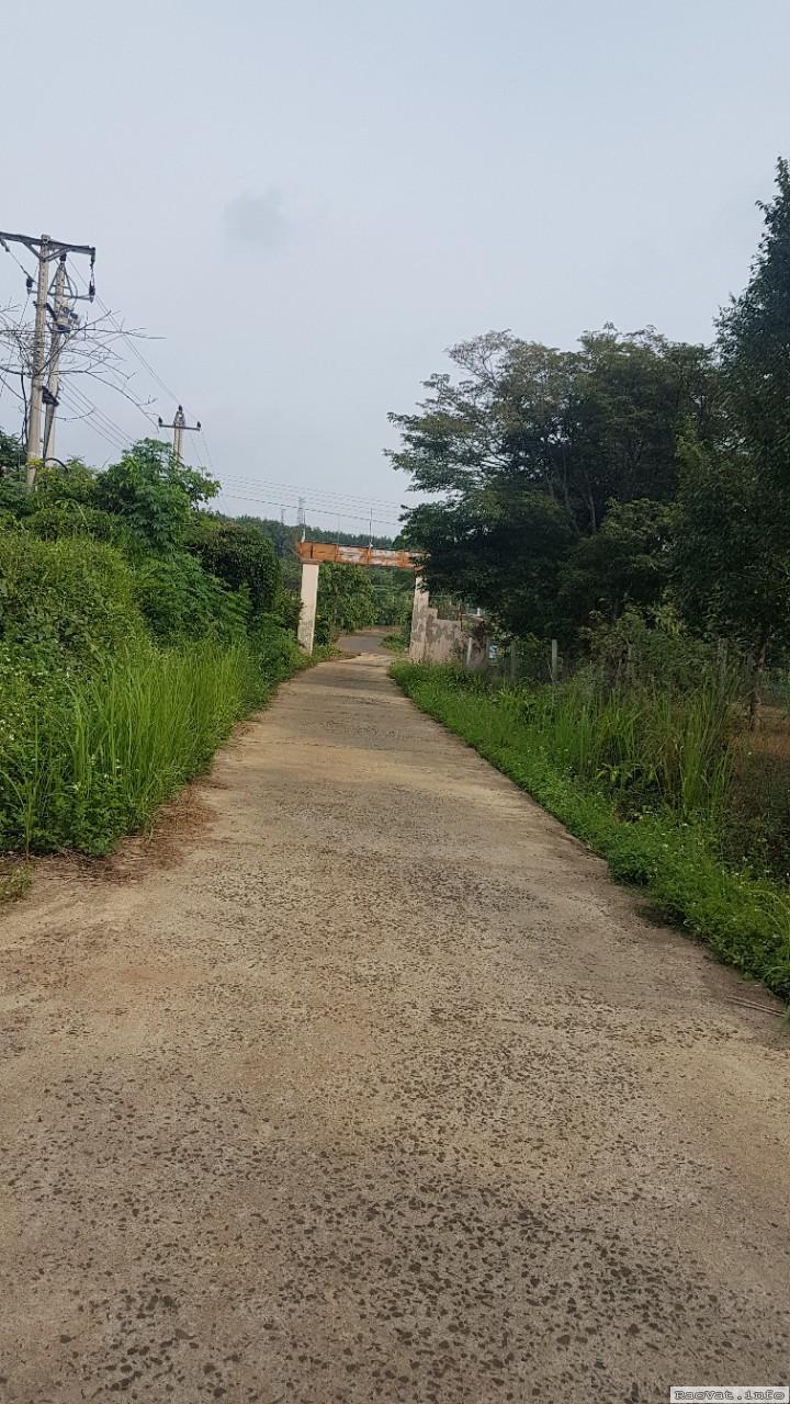 can ban 10ha dat vi tri dep co 300m duong be tong gia 52 ty lh0969833877