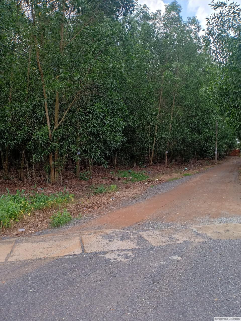 dat dep 3 mat tien ngay kcn long duc gia 46tr 1m2 lh0982696239