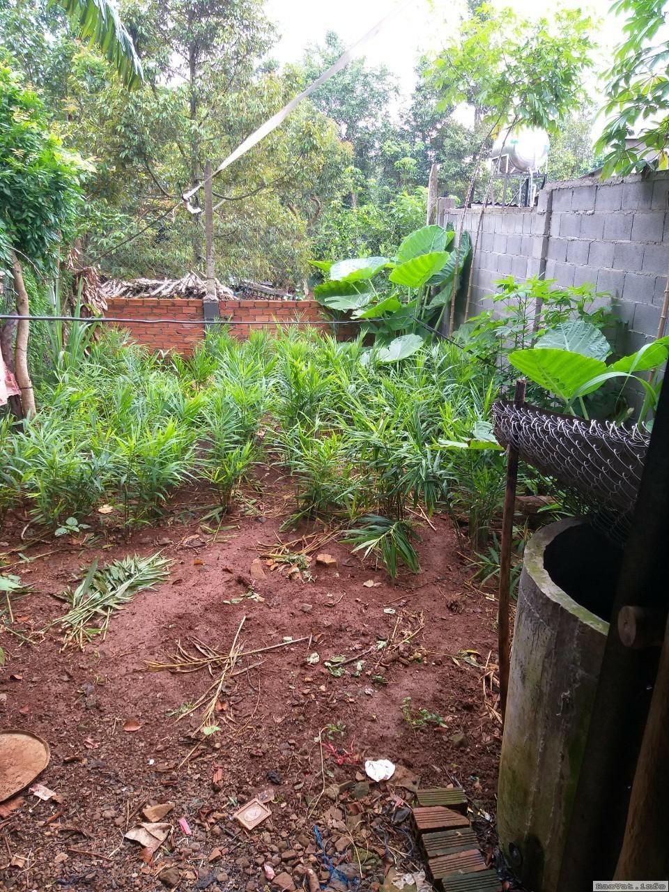 ban 125m2 dat mat tien duong lon kim long lang lon chau duc brvt lh0347075153