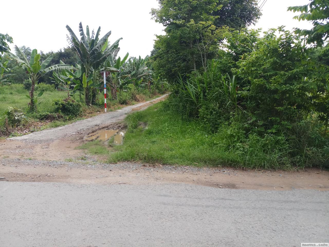 ban 322m2 dat nen mat tien le hong phong phuong 8 tp tra vinh chi 16 ty lh0911158184