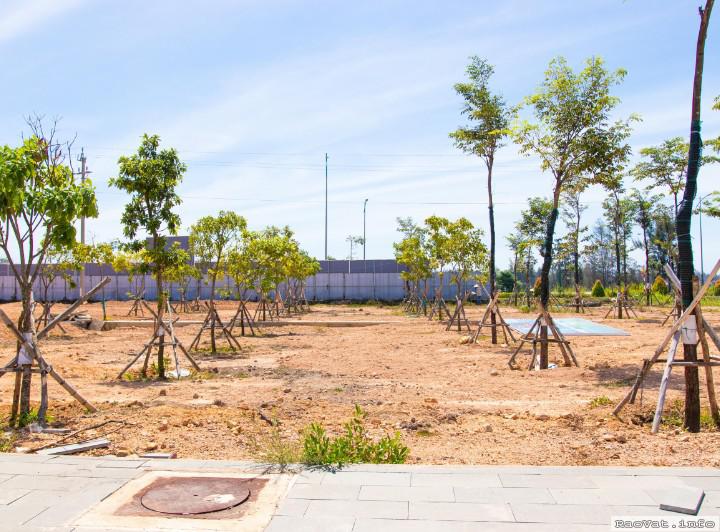 dat xanh mien trung mo ban dat bien my khe chi 850 trieu giai doan 1 lh0849783139