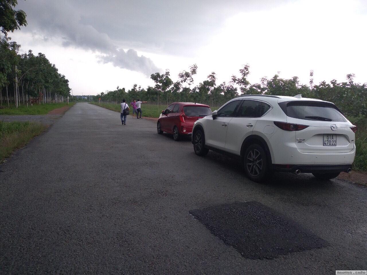 can ban 25 mau dat bac tan uyen binh duong 75 ty 1 mau lh0375998690