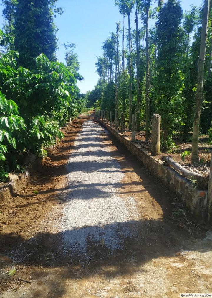 dat ngai giao 10x38 60tc gia chi 126tr 1m lh0347075153