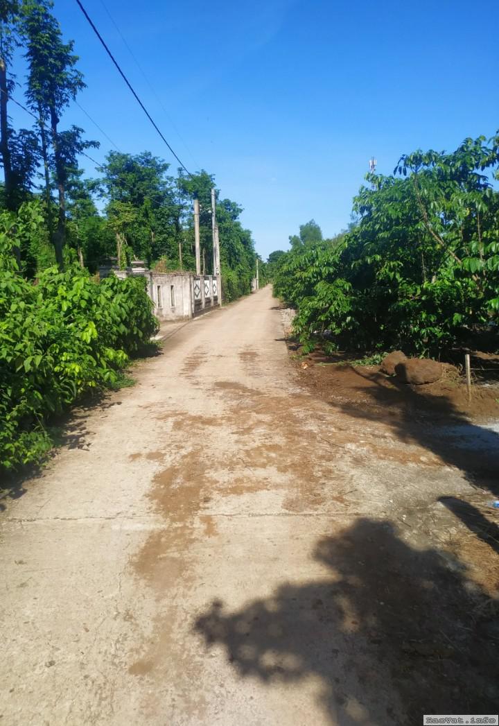 dat ngai giao 10x38 60tc gia chi 126tr 1m lh0347075153