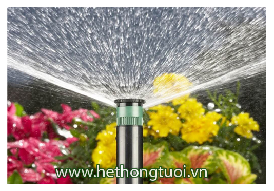 he thong tuoi canh quan tuoi canh quan san vuon tuoi co san vuon voi phun pro spray