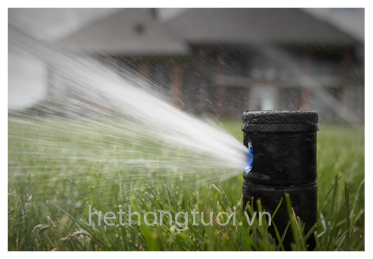 thiet bi tuoi canh quan voi phun canh quan voi phun mp voi phun srm voi phun pro spray