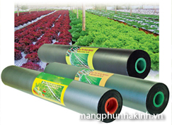 mang phu nong nghiep cach dung mang phu nong nghiep loi ich mang phu nong nghiep mang nilon dung tro