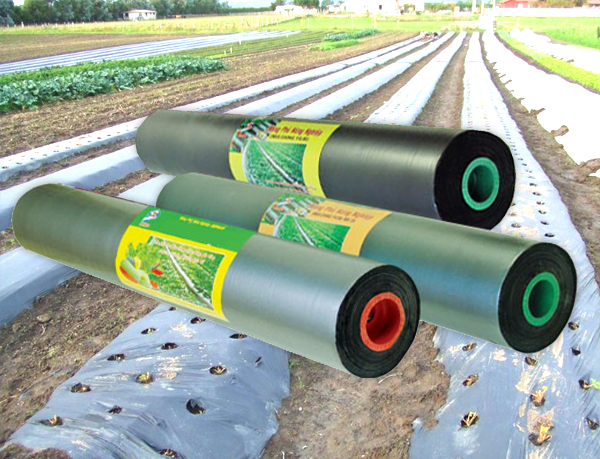 mang phu nong nghiep dai ly cung cap mang phu nong nghiep cach su dung mang phu nong nghiep