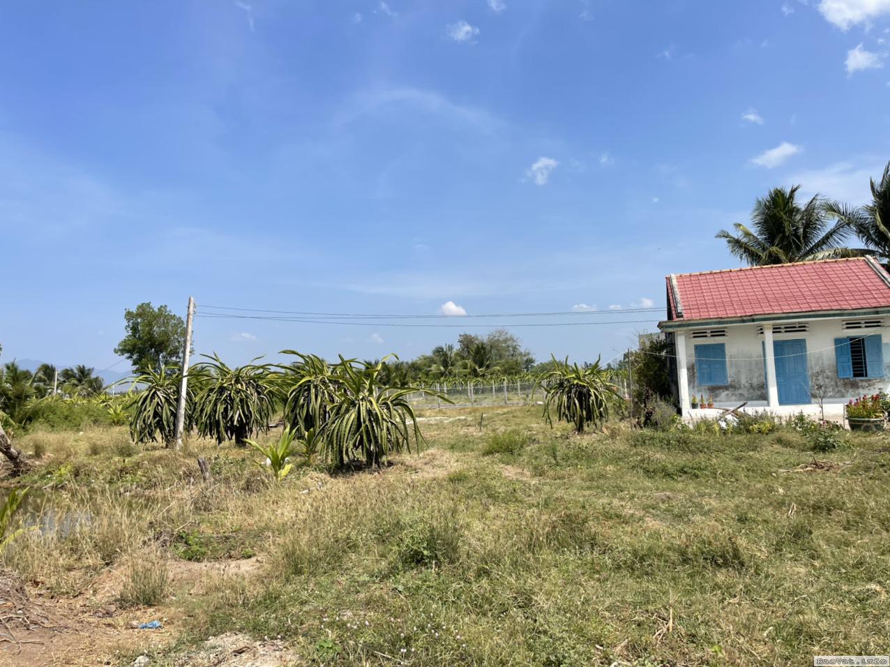 ban 410m2 dat trong cay lau nam tai binh thuan cong chung trong ngay 500tr lh0948581879