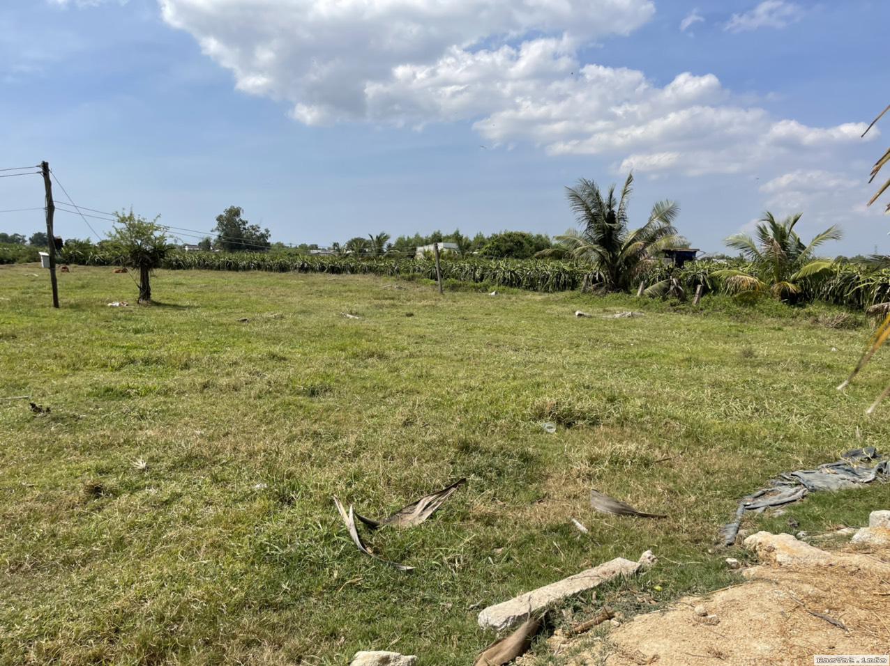 ban 410m2 dat trong cay lau nam tai binh thuan cong chung trong ngay 500tr lh0948581879