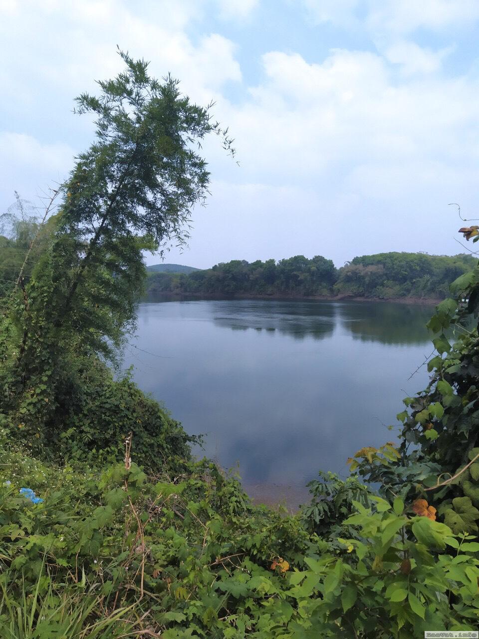 ban nhanh 1 ha dat vuon cam va buoi tai binh duong 12 ty tl lh0937709724