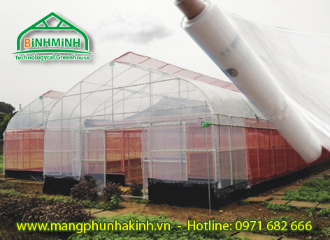 mang nha kinh politiv israel nha mang israel 5 lop