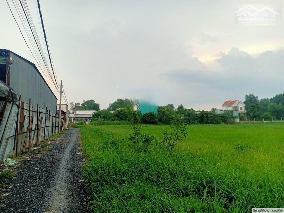 ban 9100m2 dat mat tien ql1a binh chanh tphcm lh0938043925 0858888299