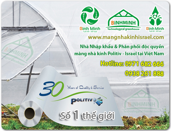 mang nha kinh israel politiv gia mang nha kinh ha noi chi phi lam nha mang