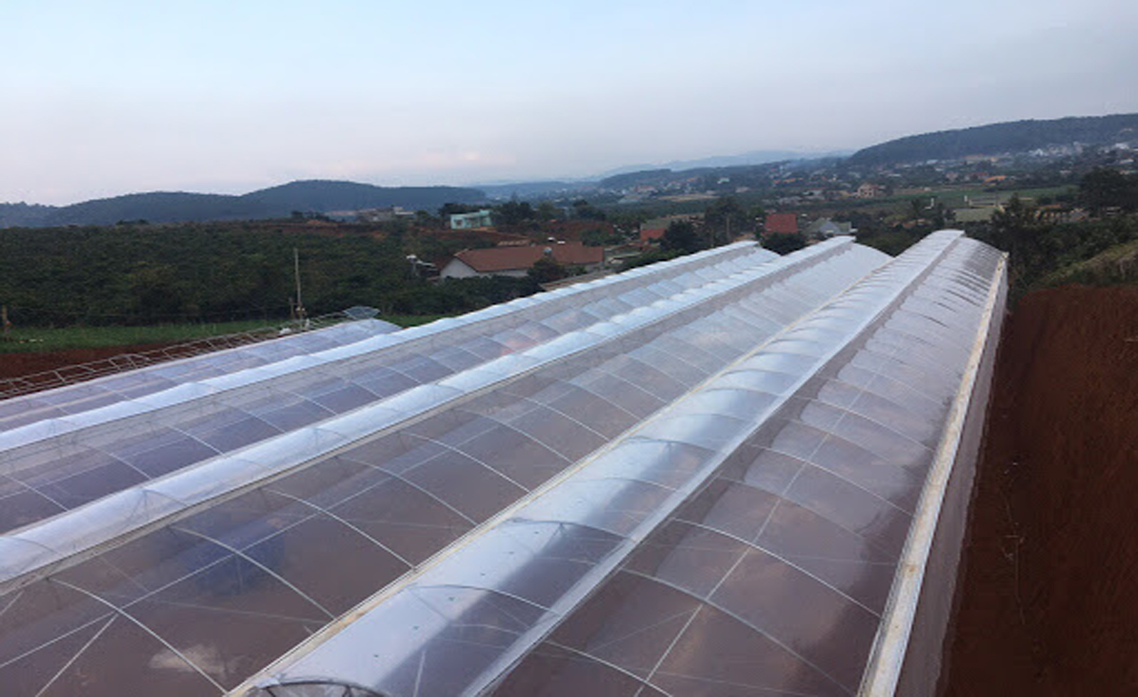 thiet ke nha kinh trong rau sach mang nha kinh israel politiv