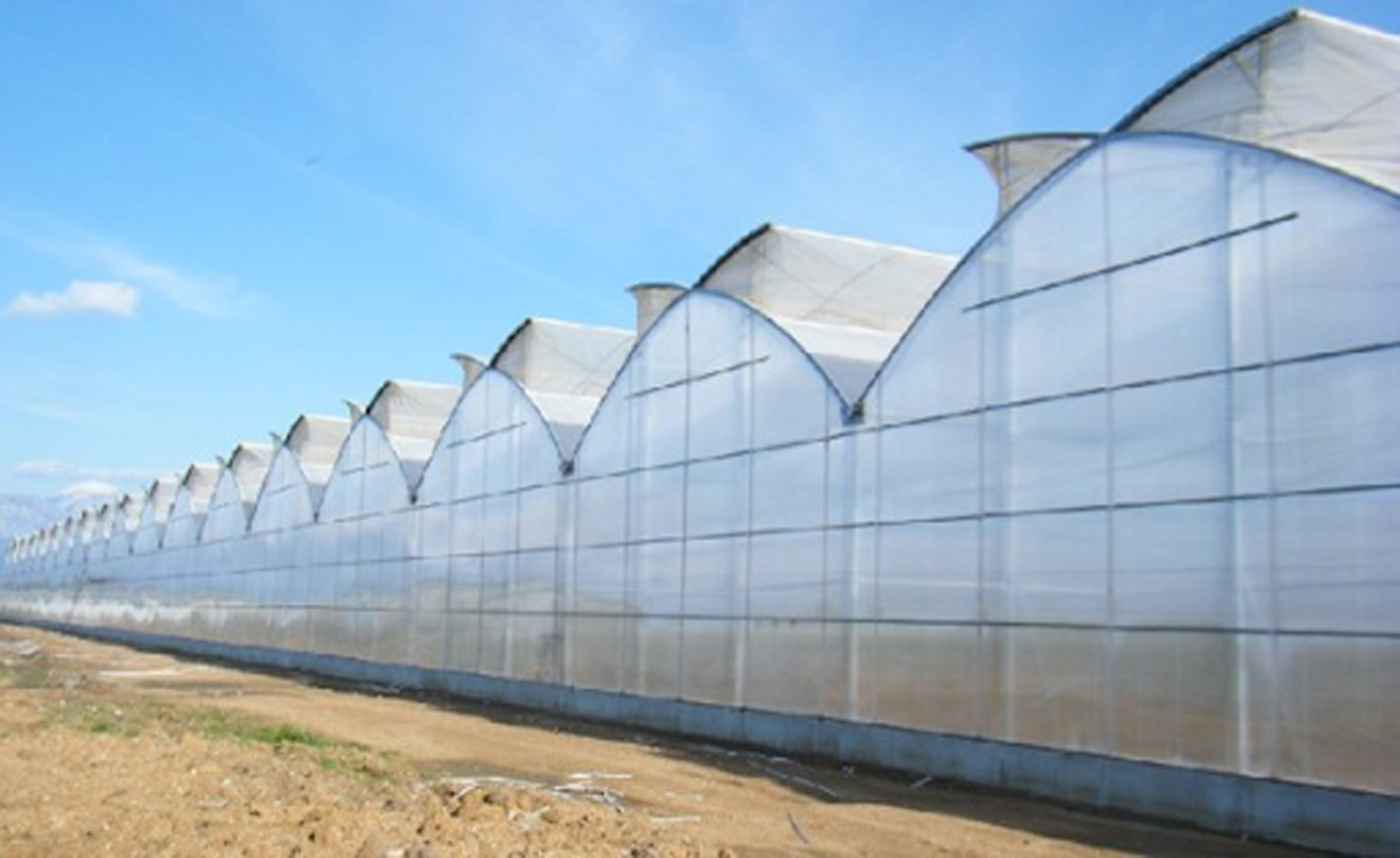 thiet ke nha kinh trong rau sach mang nha kinh israel politiv