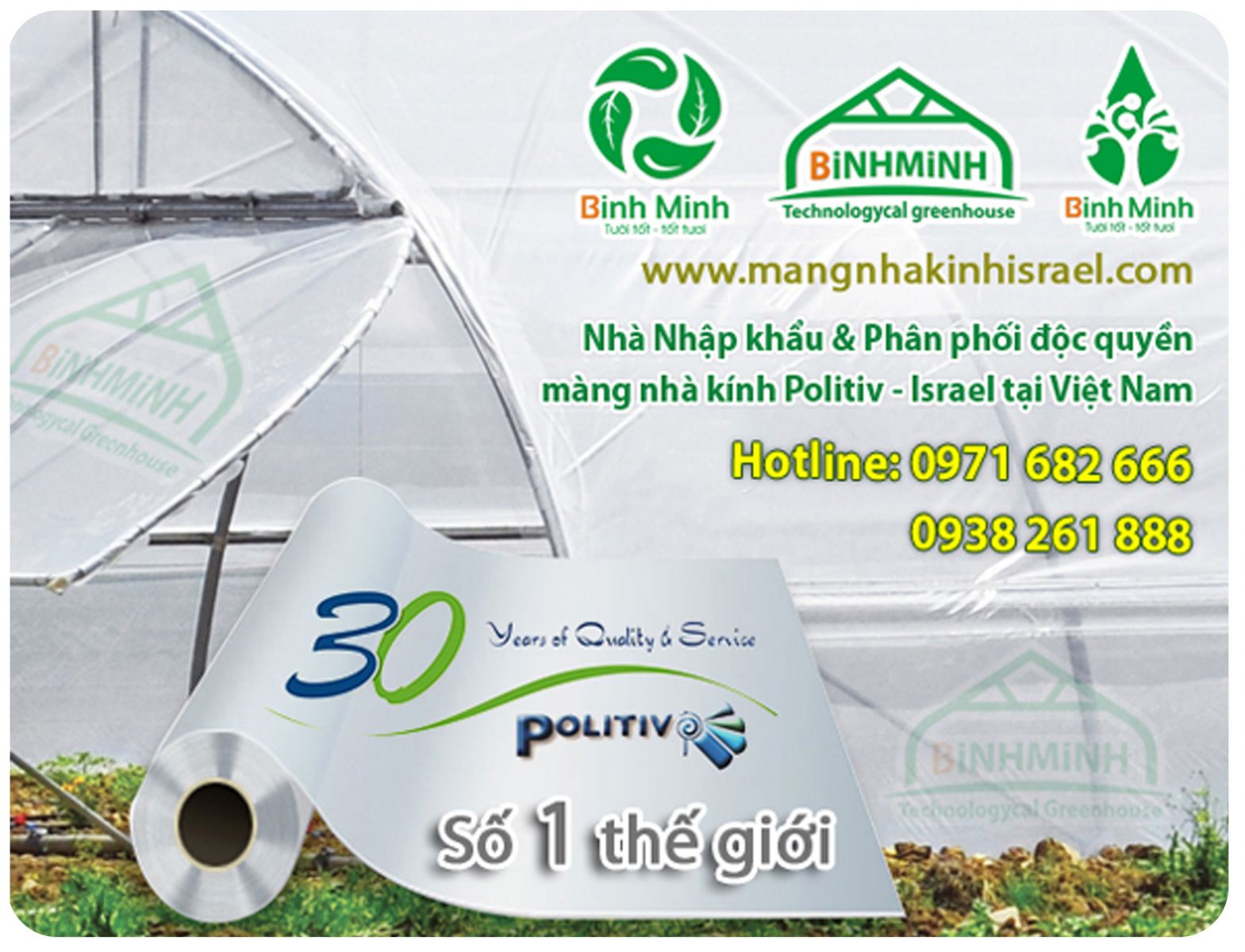 mang nha kinh israel politivtrong dua luoi trong nha kinhnha mang trong rau sach