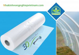 nha kinh trong rau israel politiv nha kinh trong dua luoi